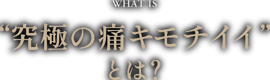 究極の痛キモチイイとは？